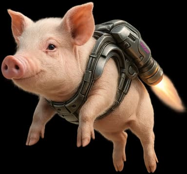 Privacy Pig